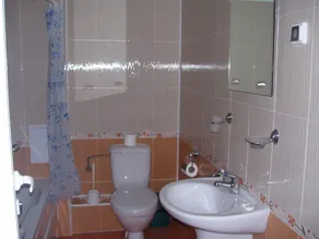 Apartments Four Leaf Clover Bansko to rent - Baño