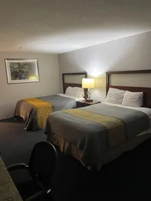 Apm Inn & Suites - Room