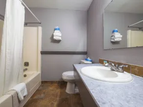 Economy Inn Auburn - Salle de bain