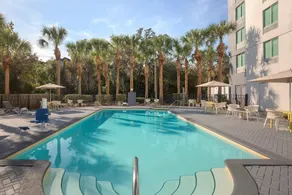 Hilton Garden Inn Tampa North Busch Gardens - Piscine