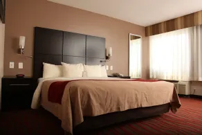 Comfort Inn Los Angeles near Hollywood - Chambre