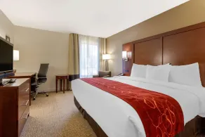 Comfort Inn & Suites Macon West - Chambre