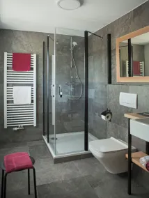 Landhotel Gasthaus zum Pflug - Bagno