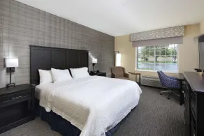 Hampton Inn Holland - Chambre