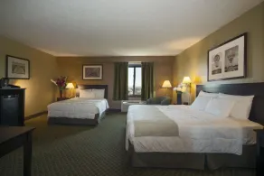 Meadowlands Plaza Hotel - Chambre