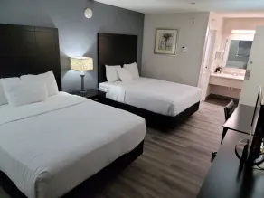 La Quinta Inn by Wyndham Tampa Near Busch Gardens - Chambre