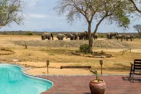 Tangala Safari Camp - Pool