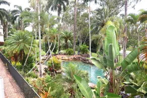 Colonial Palms Motor Inn - Piscina