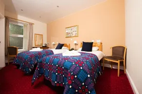 Tyn-y-Coed Inn - Chambre