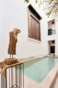 RIAD YLHA - Pool