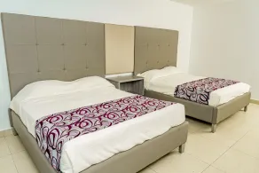 Hotel Palma Real - Room