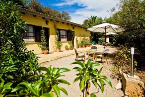 Finca Hotel Rural Predio Son Serra - Vue de la chambre