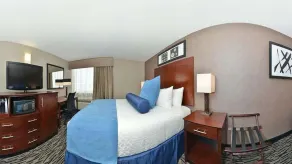Wyndham Garden Elk Grove Village - O'Hare - Chambre