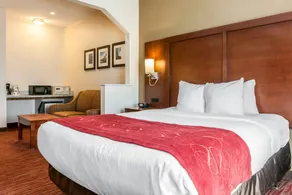 Comfort Suites Columbus Expo Center - Chambre