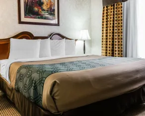 Econo Lodge & Suites Grand Rapids Airport - Chambre