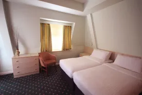 Norfolk Hotel - Vue de la chambre