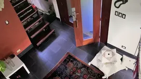 Manaya Bed & Breakfast - Reception