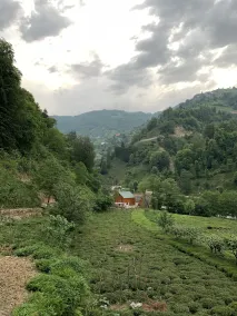 Tanura Bungalows - Rom