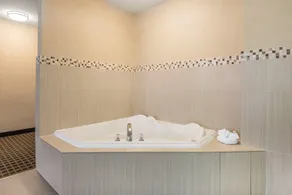 Quality Inn & Suites Windsor - Downtown - Salle de bain