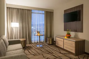 Hilton Garden Inn Bogota Airport - Room