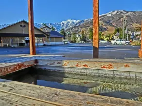 White Horse Hotel - Pool