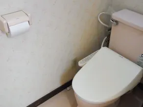 Montblanc Hakuba Familia Vacation Home - Salle de bain