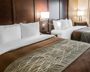 Comfort Inn & Suites Pharr - McAllen - Chambre