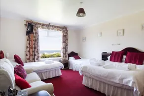 Well Parc Hotel - Habitación
