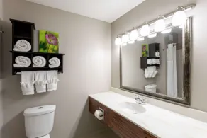 GrandStay Hotel & Suites Downtown Sheboygan - Salle de bain