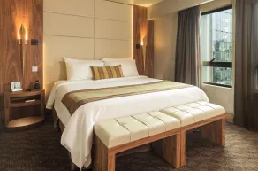 Hotel Regal Pacific Santiago - Room