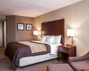 Quality Inn & Suites Orland Park - Chicago - Chambre