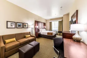 Comfort Suites Grand Prairie - Arlington North - Chambre