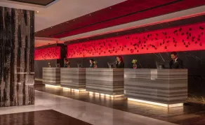 The Darling at The Star - Reception