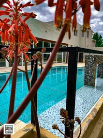 La Divina Pereza - Pool