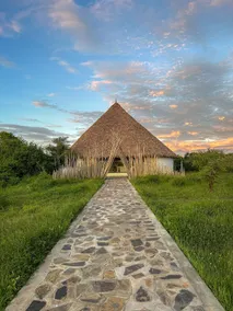 Kuoom Serengeti - Reception