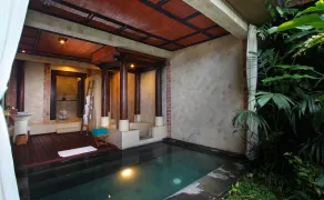 Kupu Kupu Barong Villas and Tree Spa - Pool