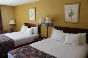 Days Inn by Wyndham Hoover Birmingham - Chambre
