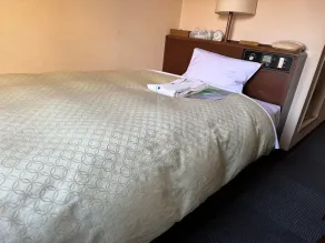 Fuchudaiitihoteru - Room
