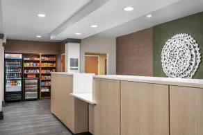 Fairfield Inn & Suites by Marriott Chattanooga South East Ridge - Réception
