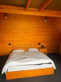 Dhanaulti The Grand Resort - Room