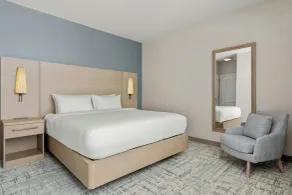 Residence Inn by Marriott Melville - Room