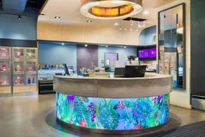 Aloft by Marriott Jacksonville Airport - Réception