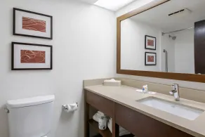 Comfort Suites Baymeadows Near Butler Blvd - Bathroom