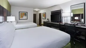 Holiday Inn Express and Suites Stroudsburg-Poconos by IHG - Chambre