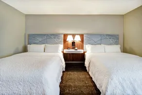 Hampton Inn Atlanta-Mall Of Georgia - Chambre