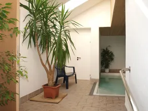 Landhaus Pfahlershof - Piscina