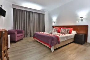 Hotel Arangues - Chambre