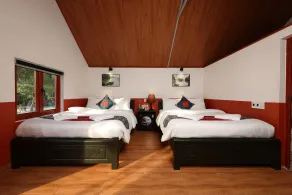 Serena Cat Ba homestay - Room