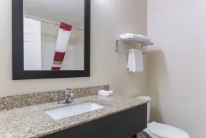 Red Roof Inn Carrollton - Badezimmer