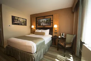 Best Western Queens Gold Coast - Chambre